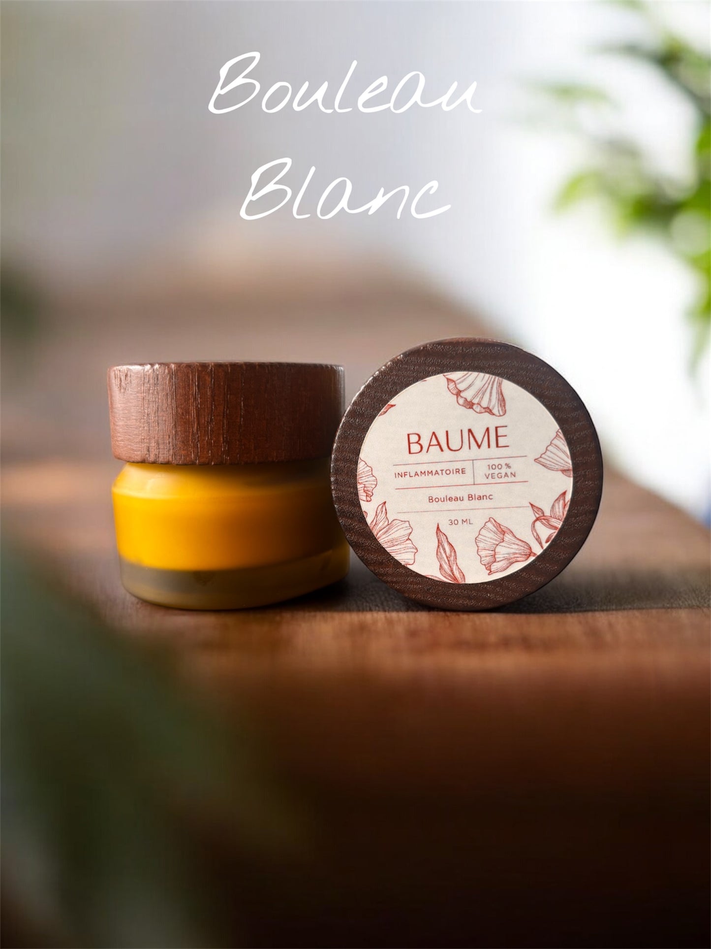 Baume Anti-Inflammatoire – Bouleau Blanc 🌿